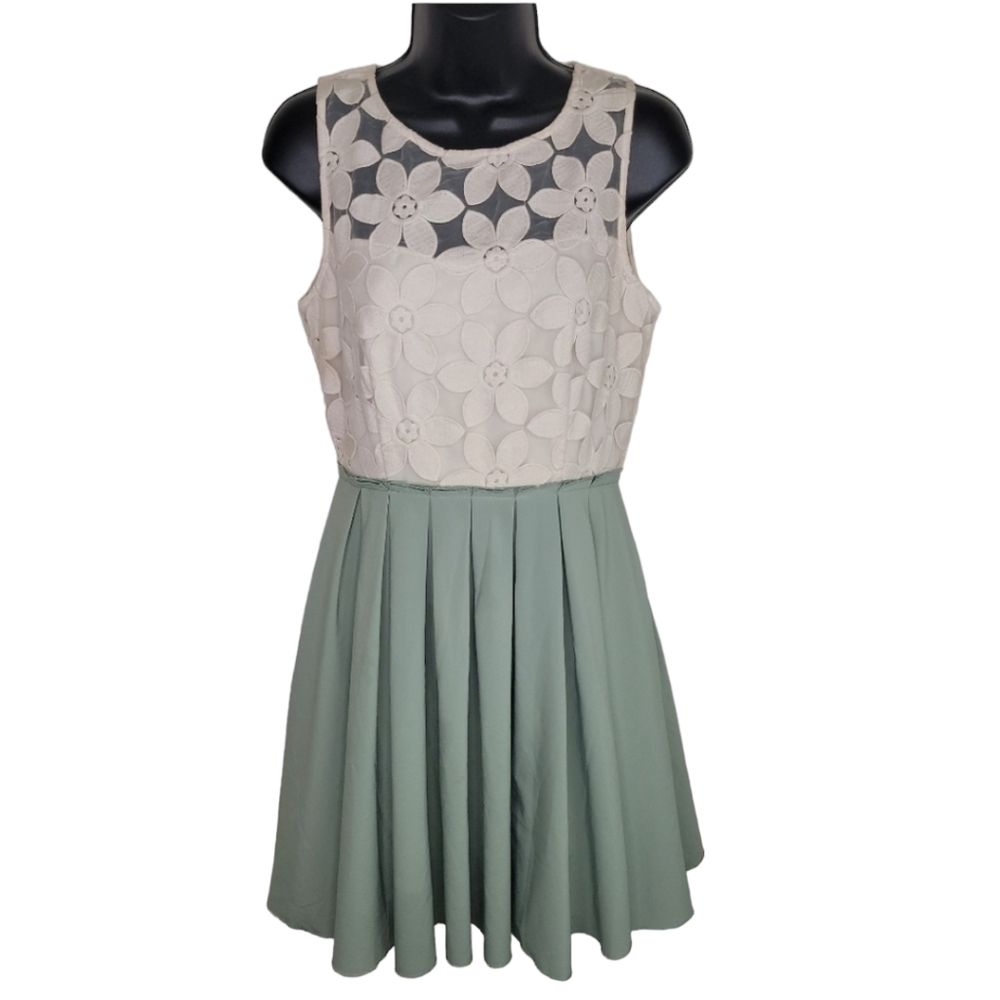 Altar'd State Fit & Flare Lace Pleated Mini Dress Medium